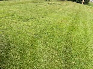 Colin P.'s Lawn Mowing Service service result