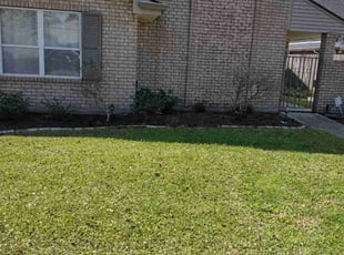 Weeding by Gray Allen for Batool Z. in Metairie, LA