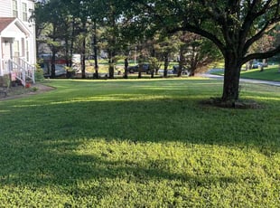 Cheryl C.'s Lawn Care service result