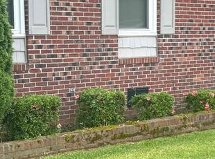 Bush Trimming by Martin Stovall for Vernard R. in Suffolk, VA