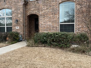 Bush Trimming by Jason Hyland for Kazi S. in Melissa, TX