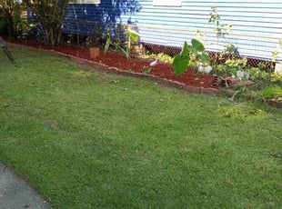 Landscaping by Terry Felo for Marjorie P. in New Orleans, LA