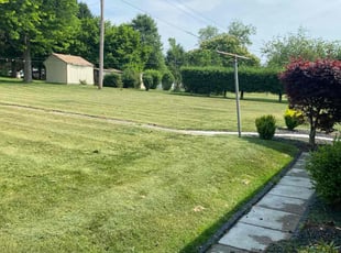 Vickie W.'s Grass Cutting service result