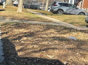 Cleanups by Kamonta Hackey for Erik W. in Silver Spring, MD