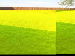 Giordana S.'s Lawn Service service result