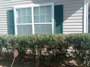 Bush Trimming by Mark Cook for Patricia W. in Douglasville, GA