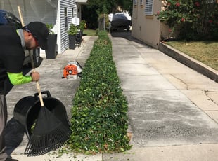 Bush Trimming by Dustin Yaklin for Eleasha B. in West Palm Beach, FL