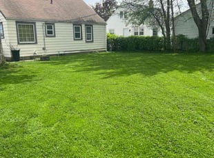 Renee J.'s Lawn Mowing Service service result