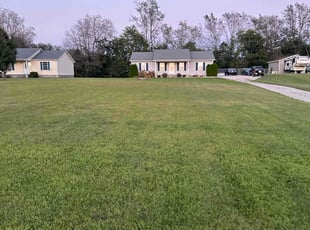 Megan M.'s Lawn Mowing service result