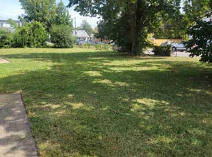Cleanups by Michelle Kramer for Savannah B. in Norfolk, VA