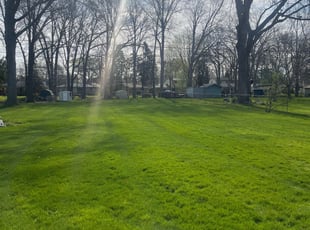 Demosthenes C.'s Lawn Care service result