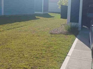 Tracy M.'s Lawn Maintenance service result