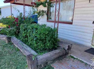 Bush Trimming by Tripler Dela Cruz for Bryan R. in Mesa, AZ