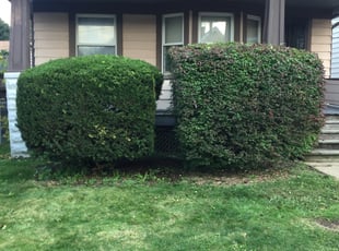 Bush Trimming by Demetrius Bennett Jr for Richard H. in Cleveland, OH