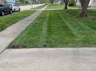 Angie D.'s Lawn Service service result