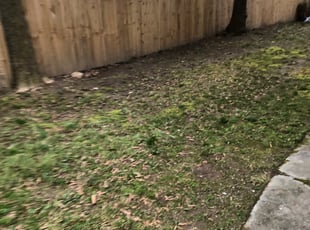 Leaf Removal by Theodore Thomas for Jeremy J. in Richmond, VA