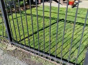 Marisol F.'s Yard Cutting service result