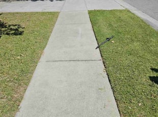 Gary P.'s Lawn Mowing service result