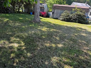 Leaf Removal by Kenneth Brown for Michael S. in Enfield, CT