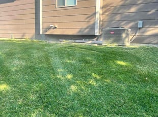 Linda G.'s Grass Cutting service result