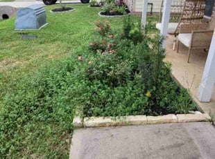 Weeding by Linda Sampson for Victoria B. in Conroe, TX