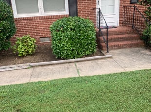 Weeding by Calvin Holland for Kyle S. in Newport News, VA