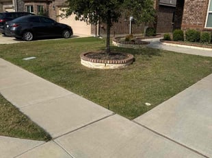 Willliam W.'s Lawn Mowing service result