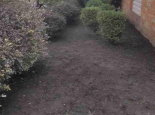 Weeding by Anthony Coleman for Jon C. in Lyndhurst, OH