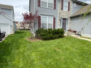 Bush Trimming by Mark Yohman for Rob P. in Reynoldsburg, OH