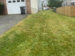 Bush Trimming by Manny Chavez for Abdullah D. in Vienna, VA