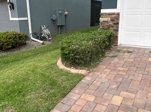 Bush Trimming by Patrick Paul for Mark S. in Oakland, FL