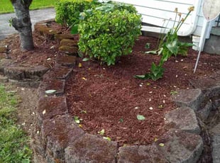 Weeding by Dennis Wy for Mark C. in Portland, OR