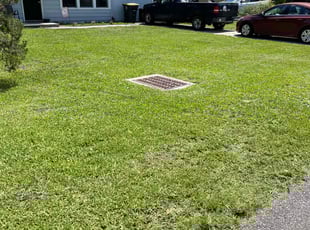 Laurie L.'s Lawn Care service result