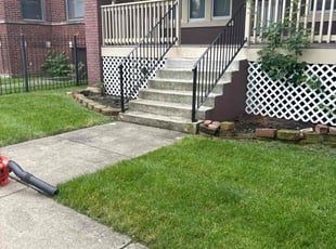 Melisa V.'s Lawn Mowing service result