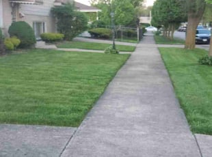 Rosalinda T.'s Lawn Maintenance service result