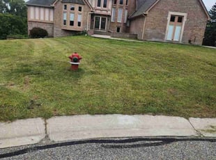 Sheila C.'s Yard Cutting service result