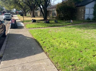 Leaf Removal by Olivia Martinez for Grant J. in Dallas, TX