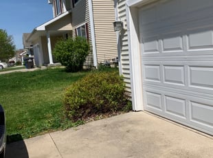 Bush Trimming by Taner Burns for Amber P. in Des Moines, IA