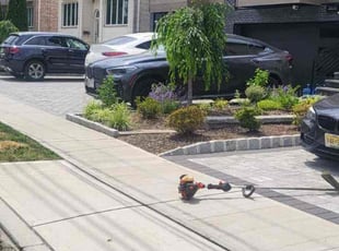 Abigail D.'s Lawn Care service result