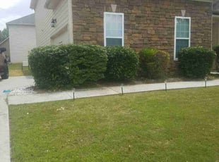 Bush Trimming by Maria Mauro for Sydney M. in Buford, GA
