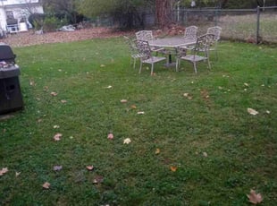 Leaf Removal by Willie Tisdel for Linda C. in South Euclid, OH