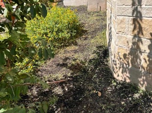 Weeding by Jesus Cepeda for Kristin M. in Leander, TX