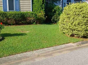 Stan M.'s Grass Cutting service result