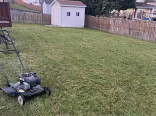 Traci P.'s Lawn Care service result