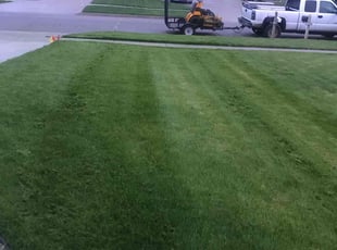 Varsha s.'s Lawn Service service result