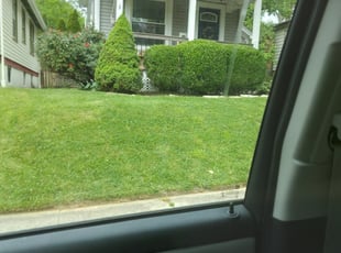 Bush Trimming by Terrance North for Laura F. in Cincinnati, OH