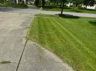 Amanda W.'s Lawn Mowing service result