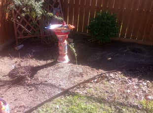 Cleanups by Devonn Ford for Brenna R. in Burleson, TX