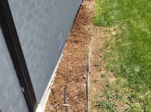 Weeding by Carlos Rocha for Renee S. in Denver, CO