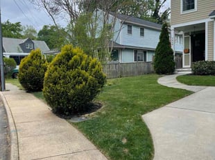 Bryan V.'s Lawn Care service result